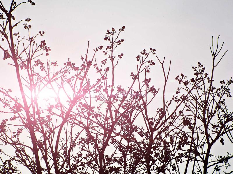 sudoku kenken screenshot 4